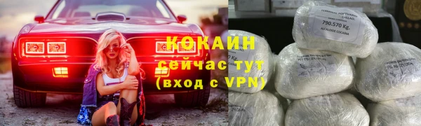 дмт Абаза