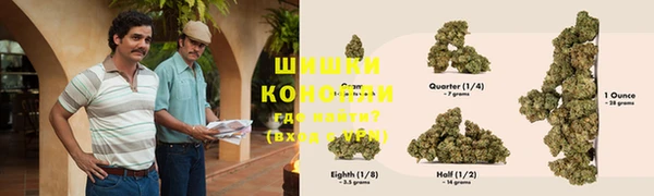 дмт Абаза