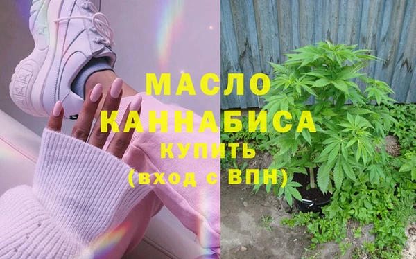 дмт Абаза