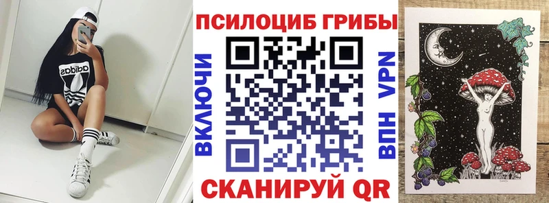 Галлюциногенные грибы Psilocybe  как найти закладки  Елизаветинская 